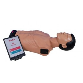 Ambu Basic  IQF Torse