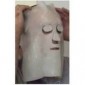 Burngel dressing Face mask 30x40cm