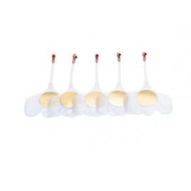 Voies respiratoires Little Baby QCPR X24