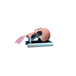 Intubatiesimulator volwassene