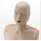 Oefenpop torso volwassene professioneel Prestan