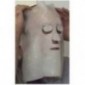 Compresse Hydrogel Face mask 30x40cm